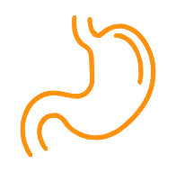 slows gastric emptying